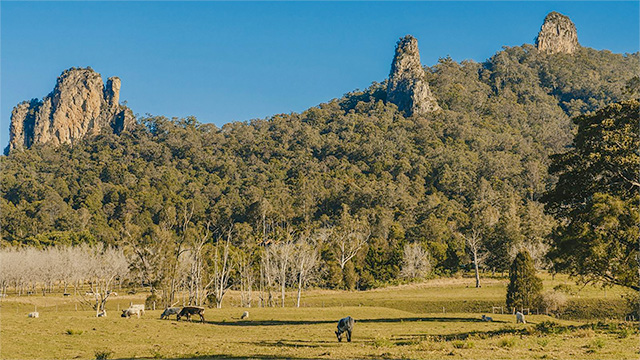 Nimbin Rocks